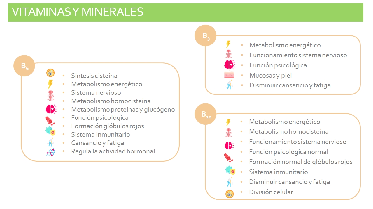 Vitaminas y minerales_2