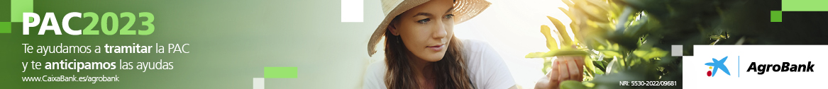 banner 1 prueba