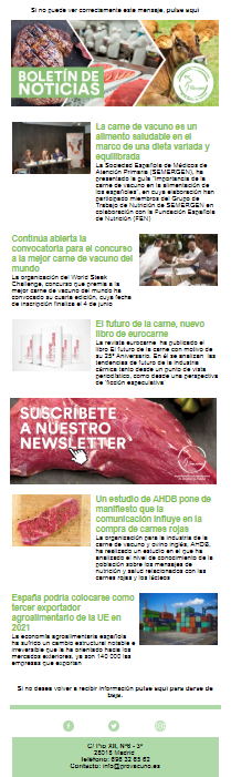 Newsletter n 11