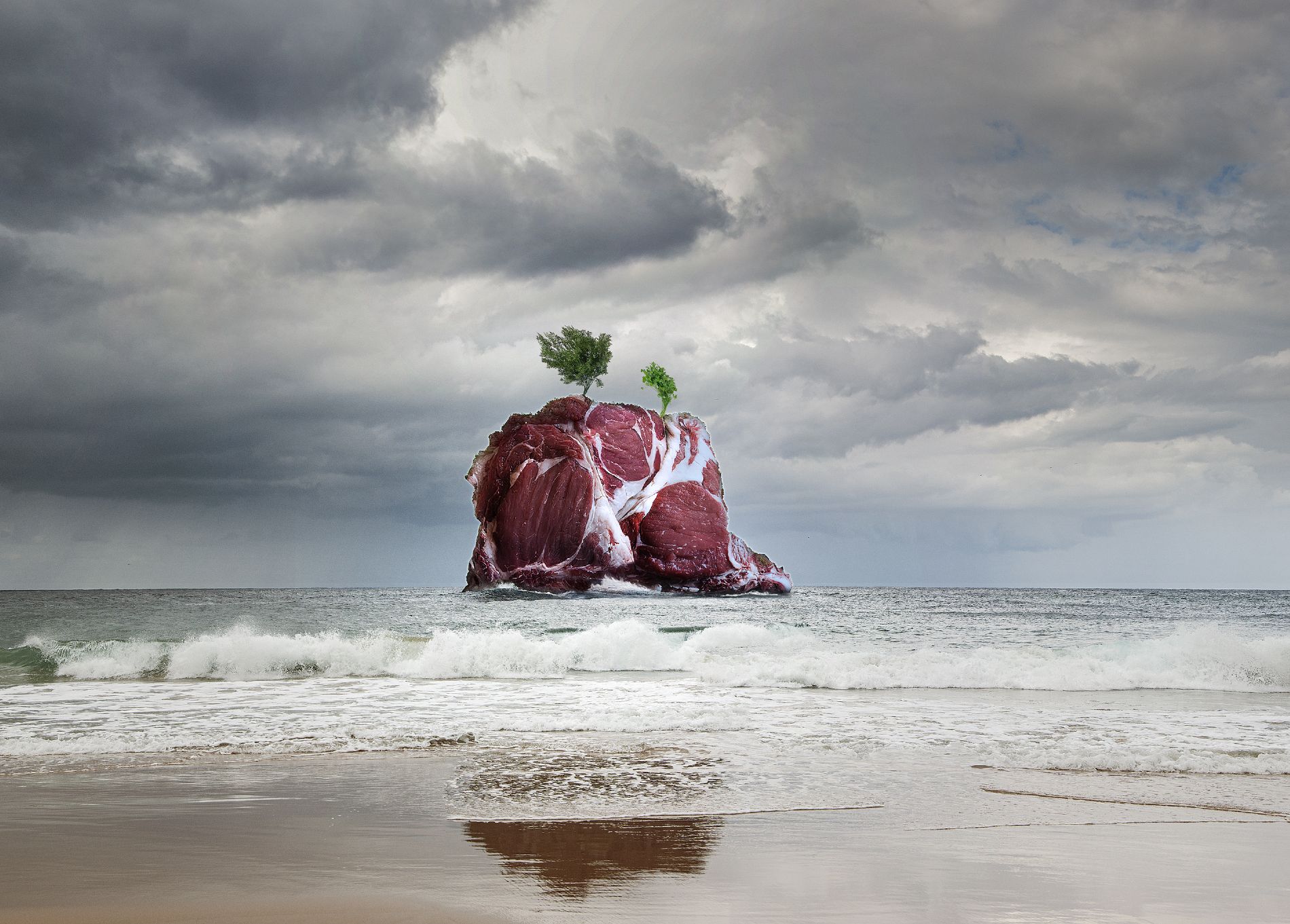 Segundo premio: Andrs Fernndez Garca, por su fotografa `Islote de carne y perejil`