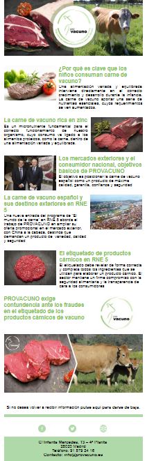 Newsletter n2