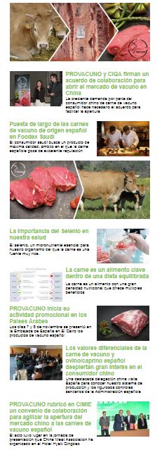 Newsletter n 7