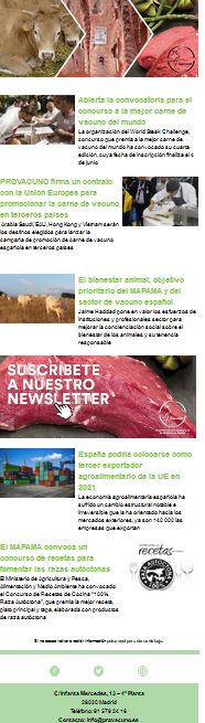 Newsletter Provacuno  n 10
