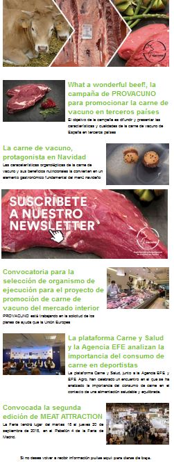 newsletter n 8