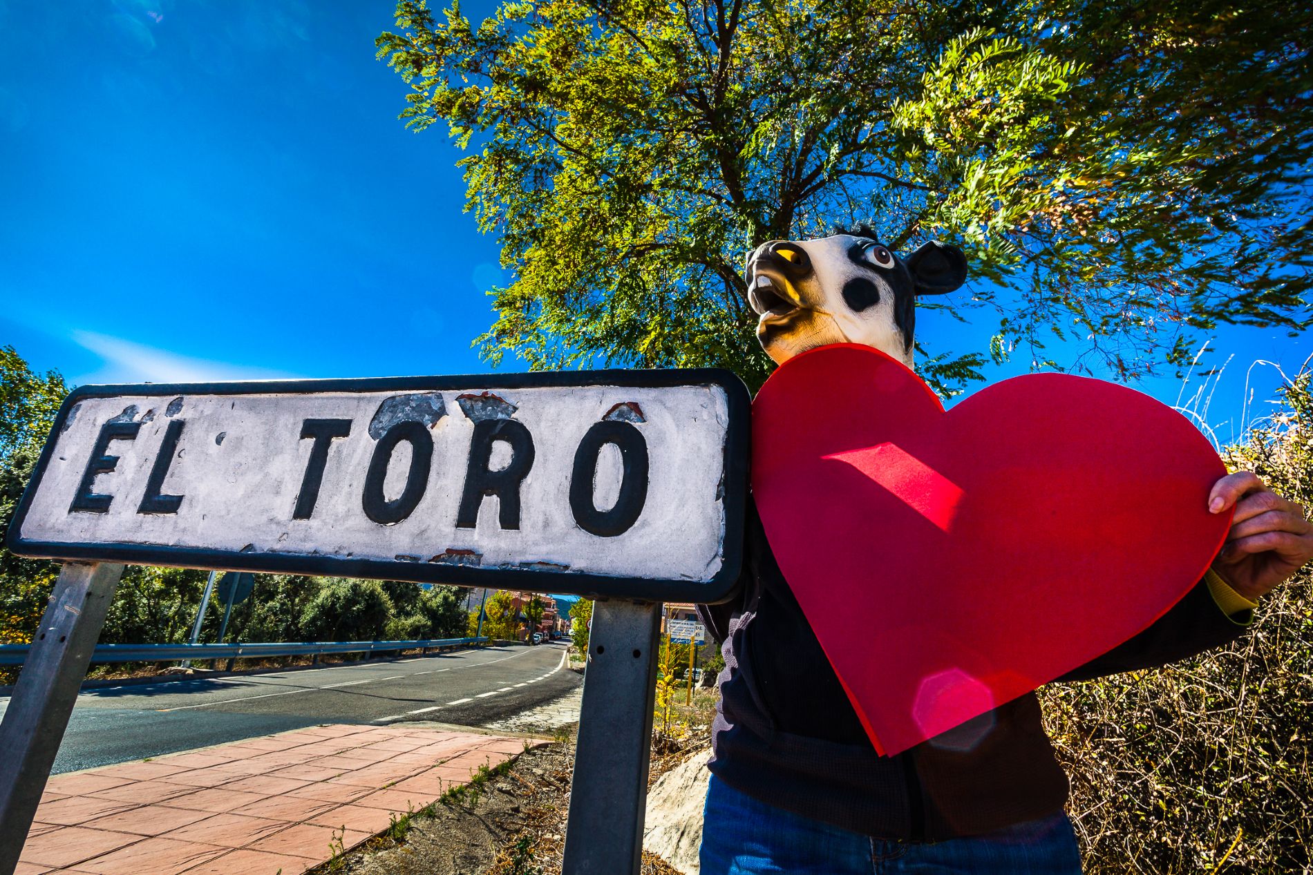 I love El Toro