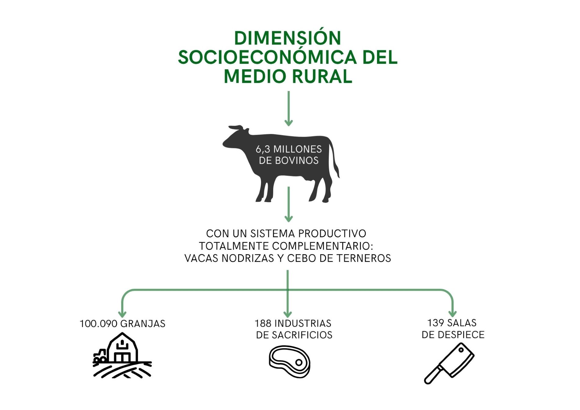 Dimensin socioeconmica del medio rural
