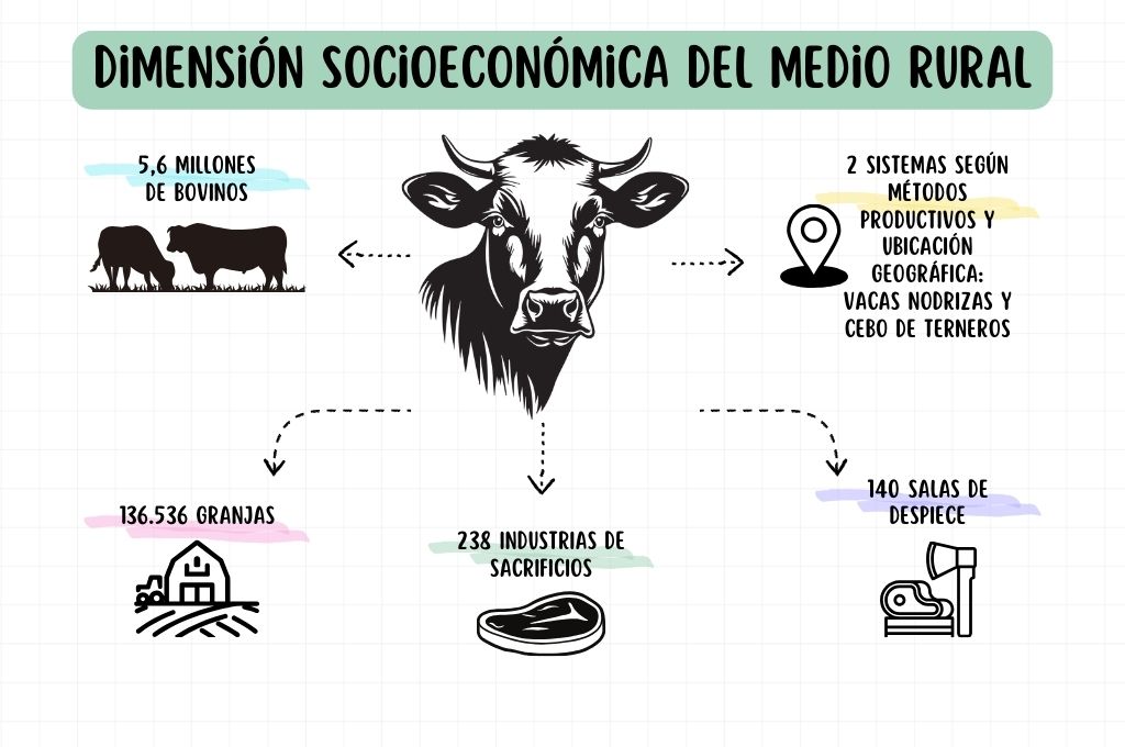 Dimensin socioeconmica del medio rural