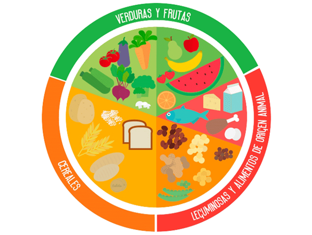 distribucin nutrientes segn Organizacin Naciones Unidas para la Alimentacin y la Agricultura