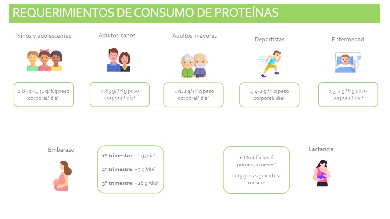 Requerimientos del consumo de protenas