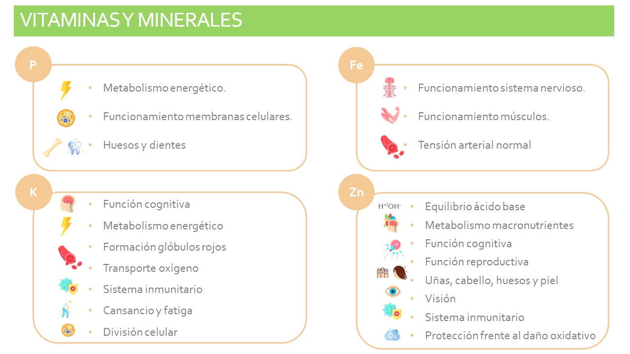 Vitaminas y minerales_1