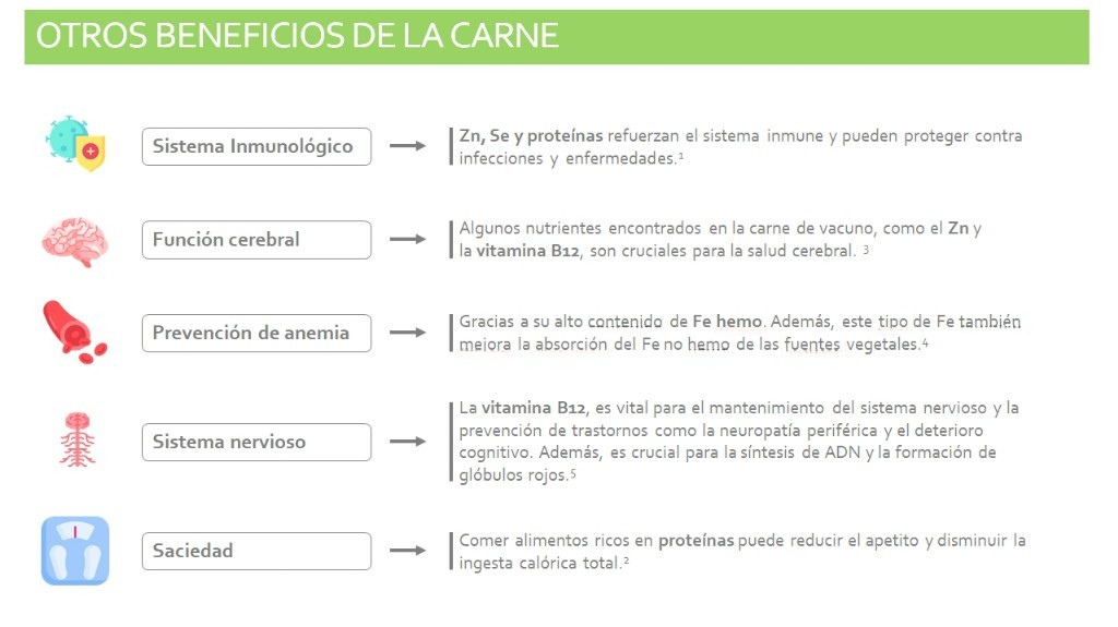 Beneficios consumo carne vacuno_2