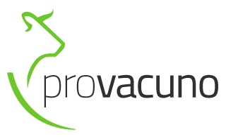 Provacuno