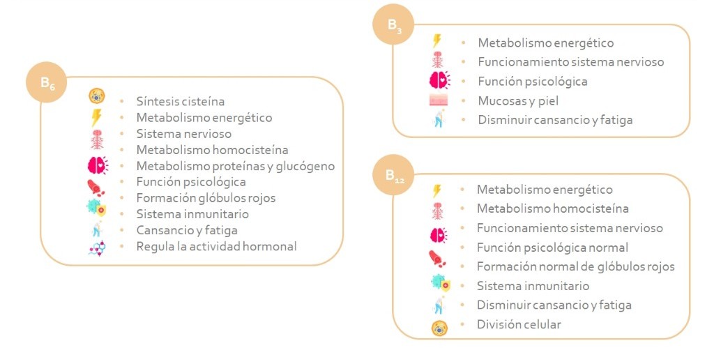Vitaminas y minerales_2