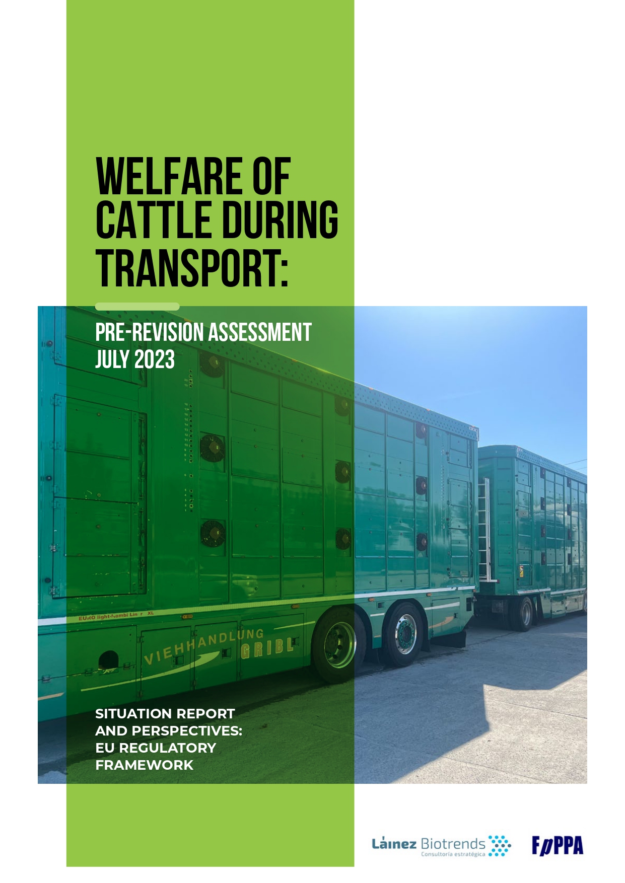 Cover Welfare Cattle During Transport