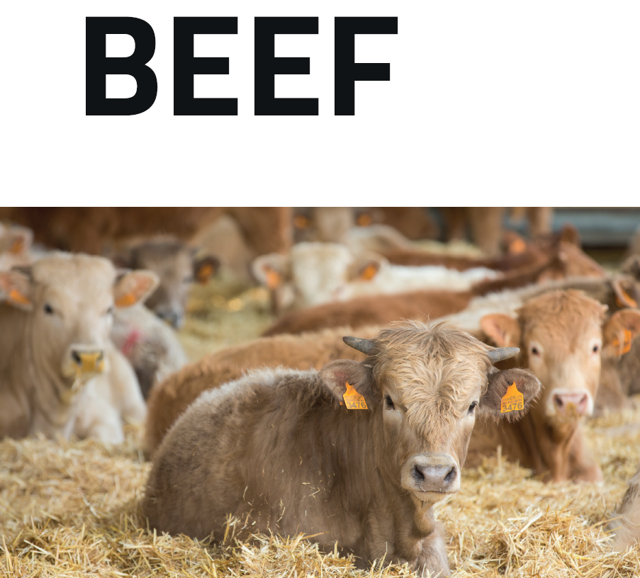 Guide to Meats in Spain_Beef_Cover