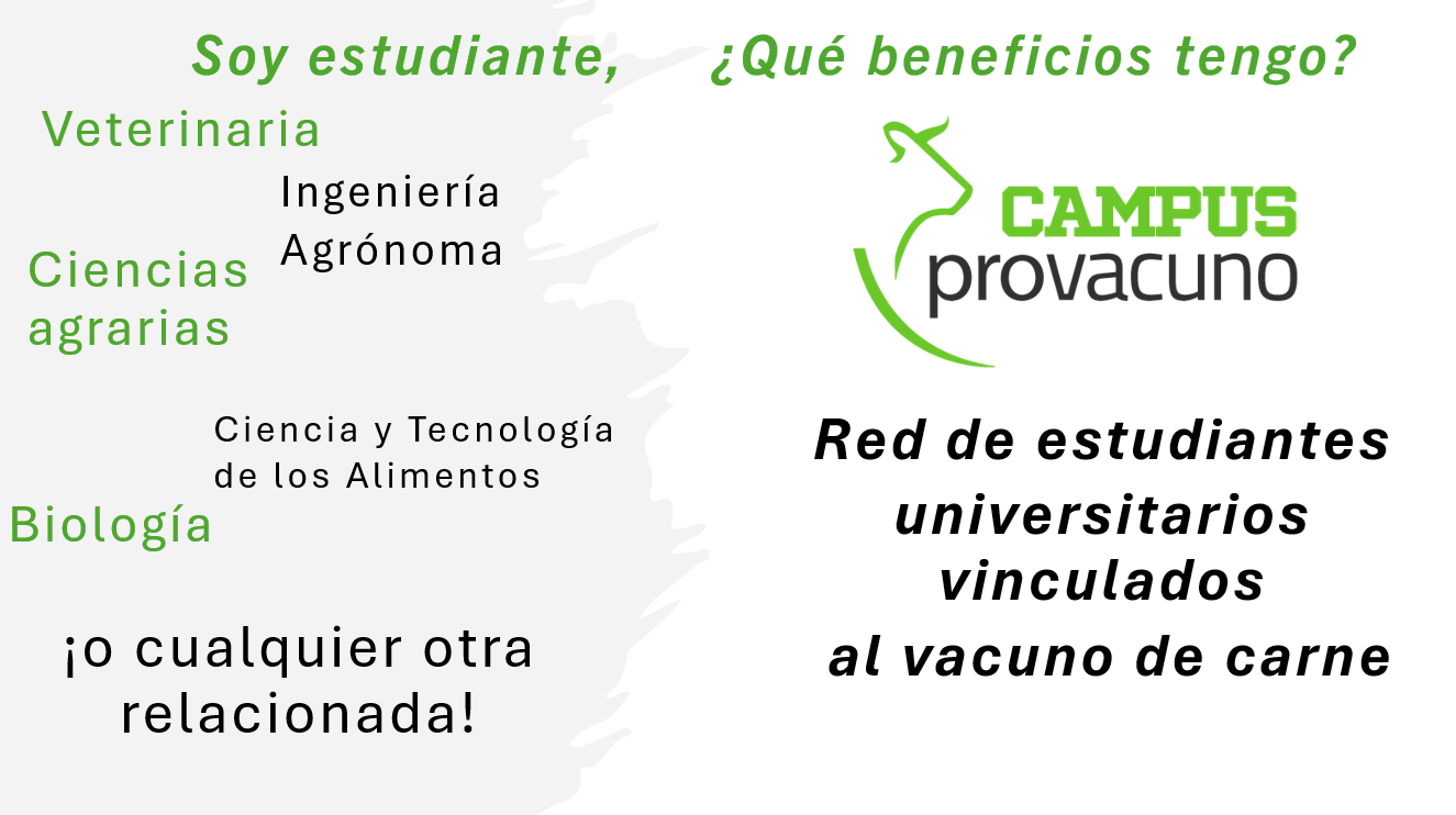 beneficios campus