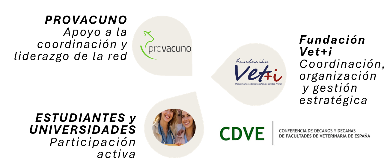 estructura campus provacuno