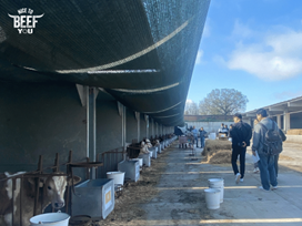 Nice To Beef You_study trip