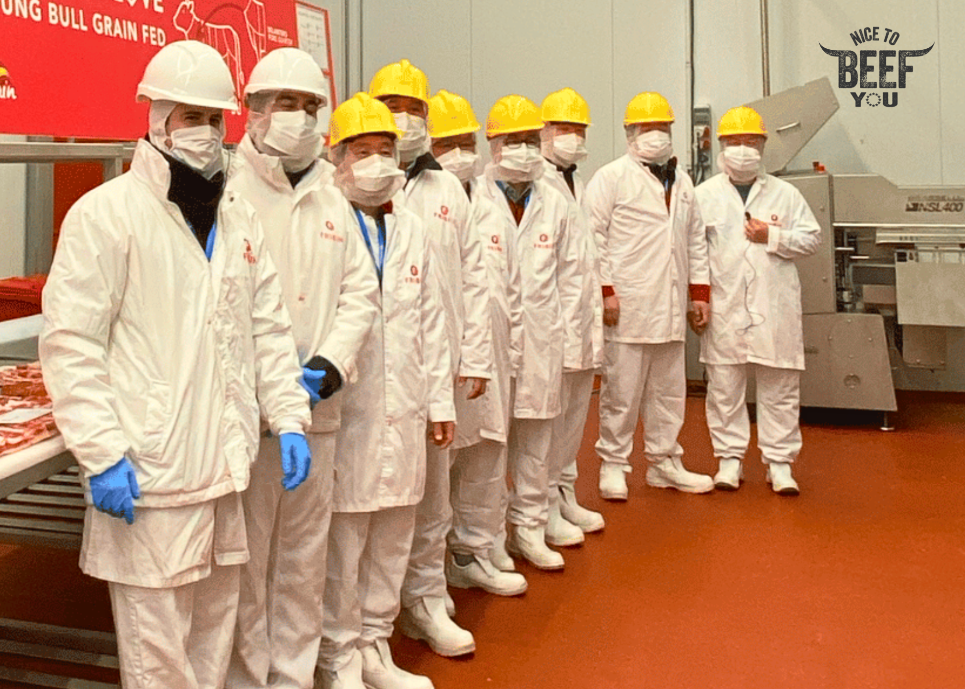 Professionals South Korea