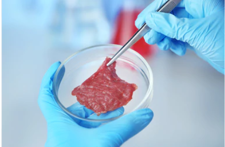 carne y ciencia
