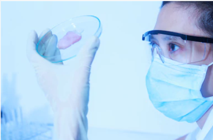 carne y ciencia