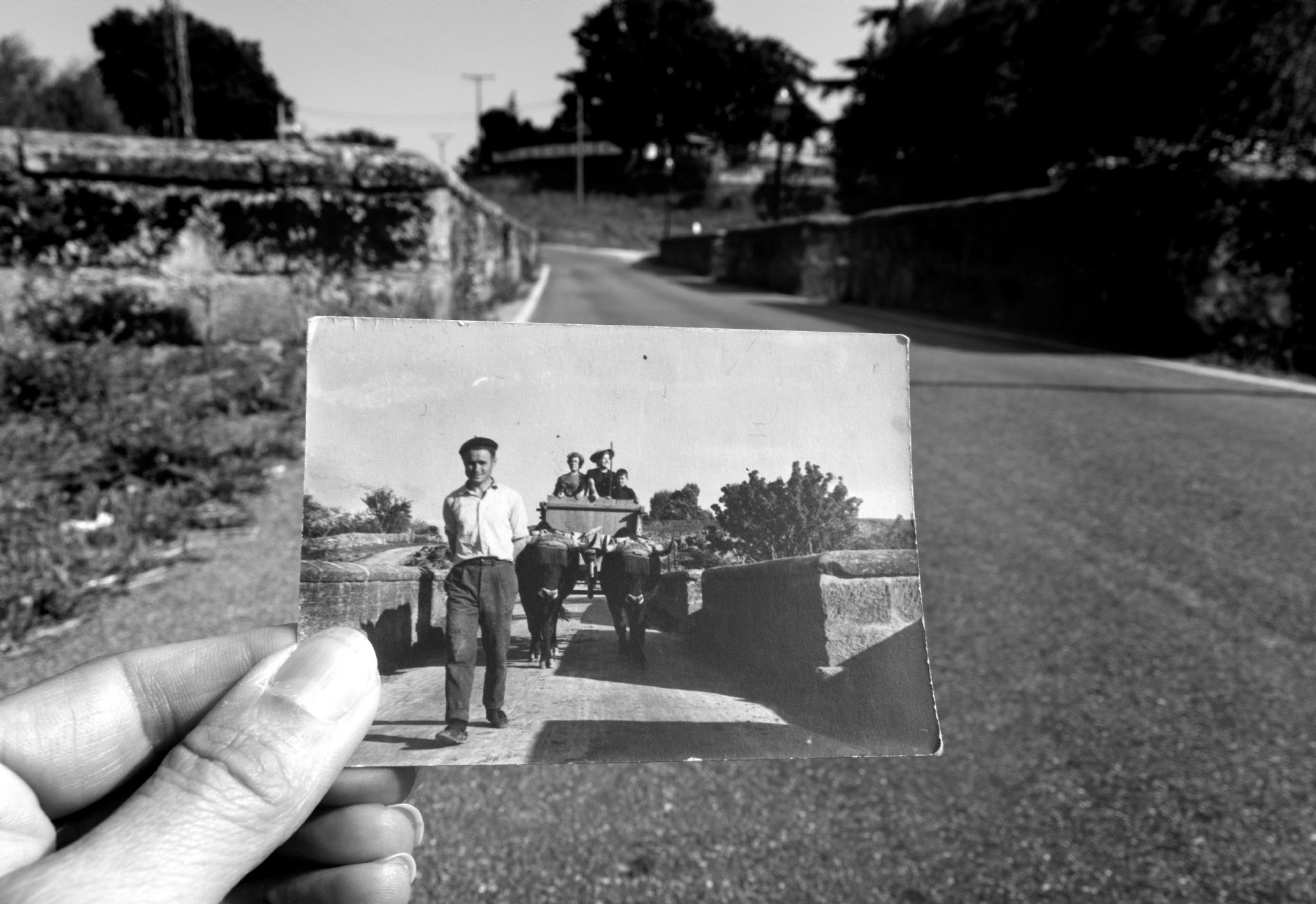 Primer premio: Virginia Gonzlez Moreno, por su fotografa `Regreso al pasado. Vuelta de un da de campo. Arlanzn`.
