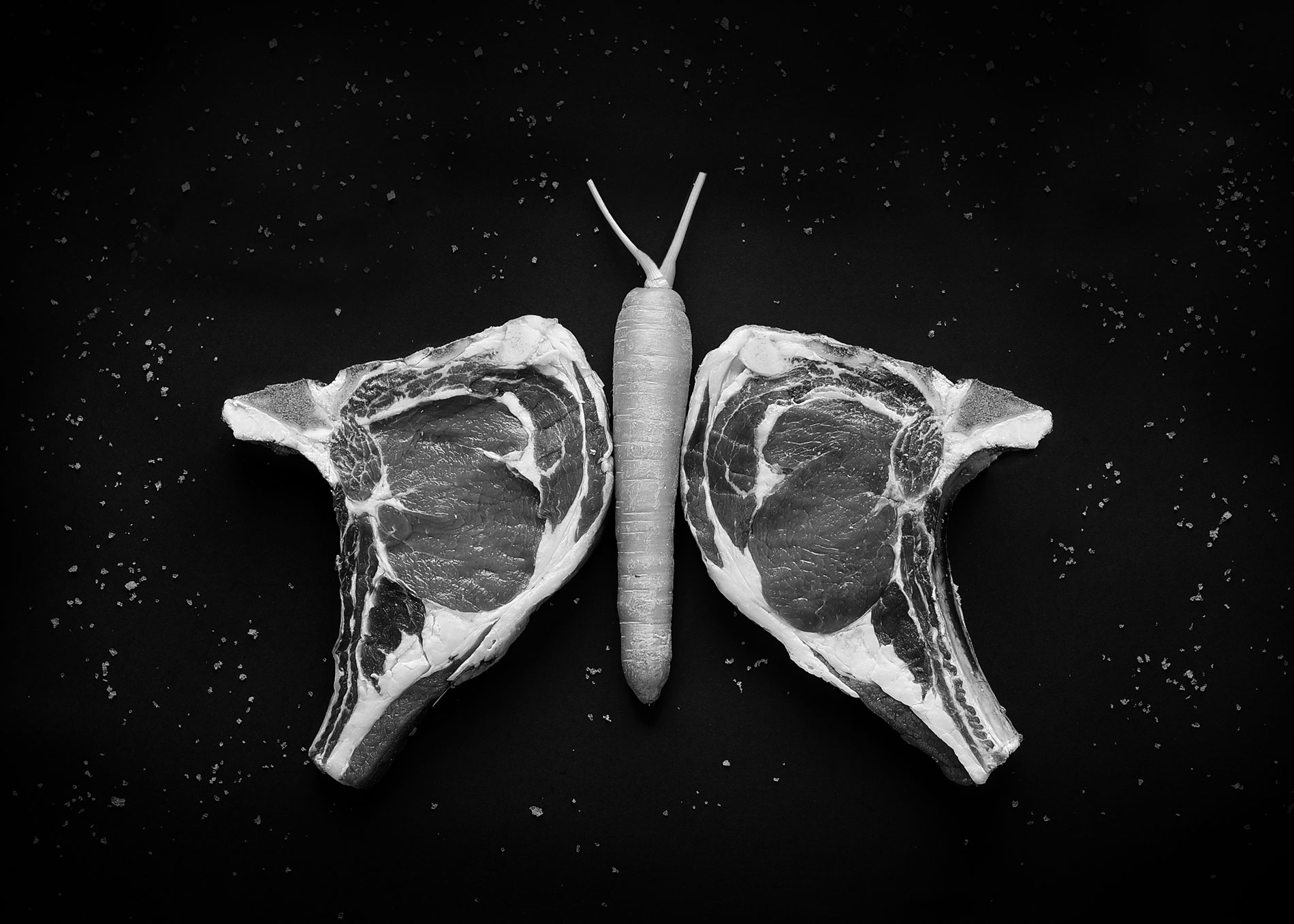 Primer premio: Miguel Planells, con su fotografa `Mariposa`.