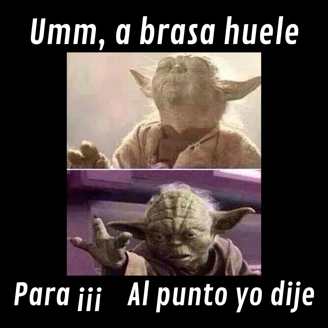 Primer premio: Blanca Jimnez, por su fotografa `Yoda al punto`.