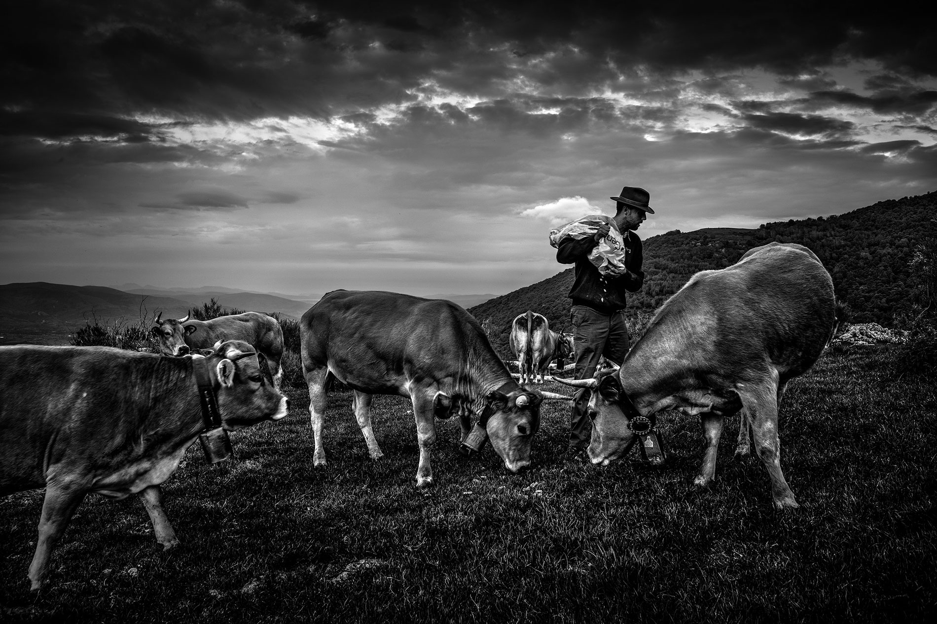 Tercer premio: Antonio Aragn, con su fotografa `Hora del almuerzo`.