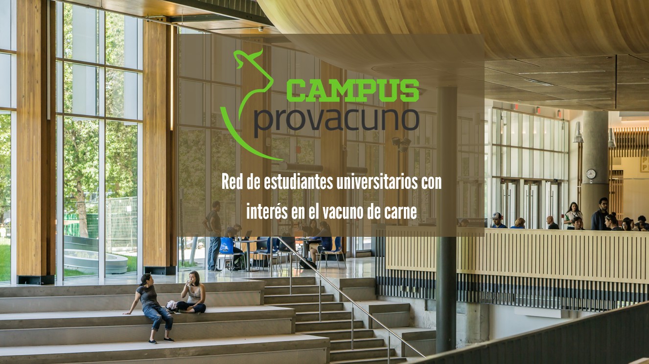foto campus