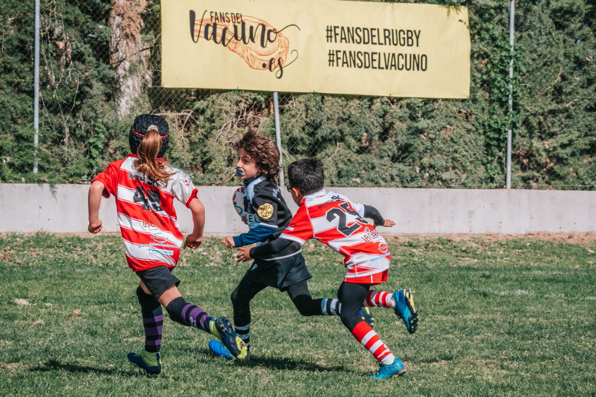 foto rugby