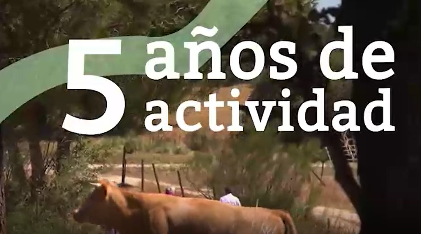 5AOS