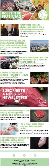 Newsletter Provacuno N16