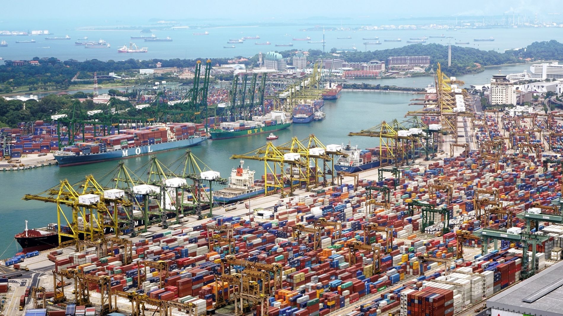 Distribucin exportaciones de carne de vacuno espaola