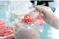 Laboratorio