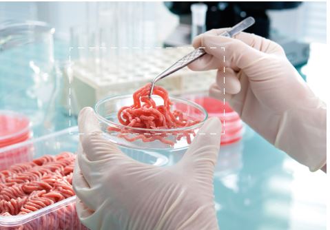 Laboratorio