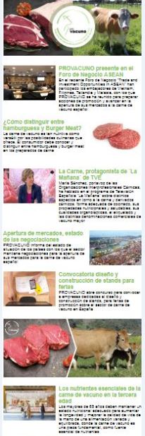 Newsletter n 3