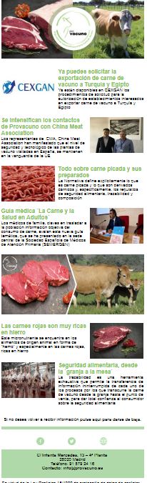 Newsletter n 4