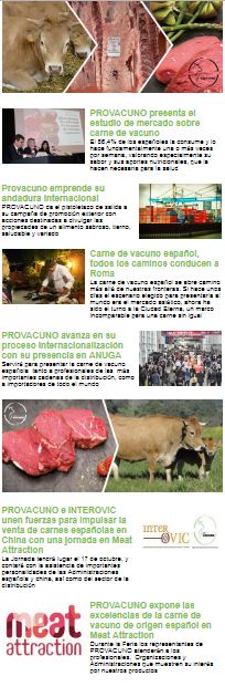 Newsletter n 6