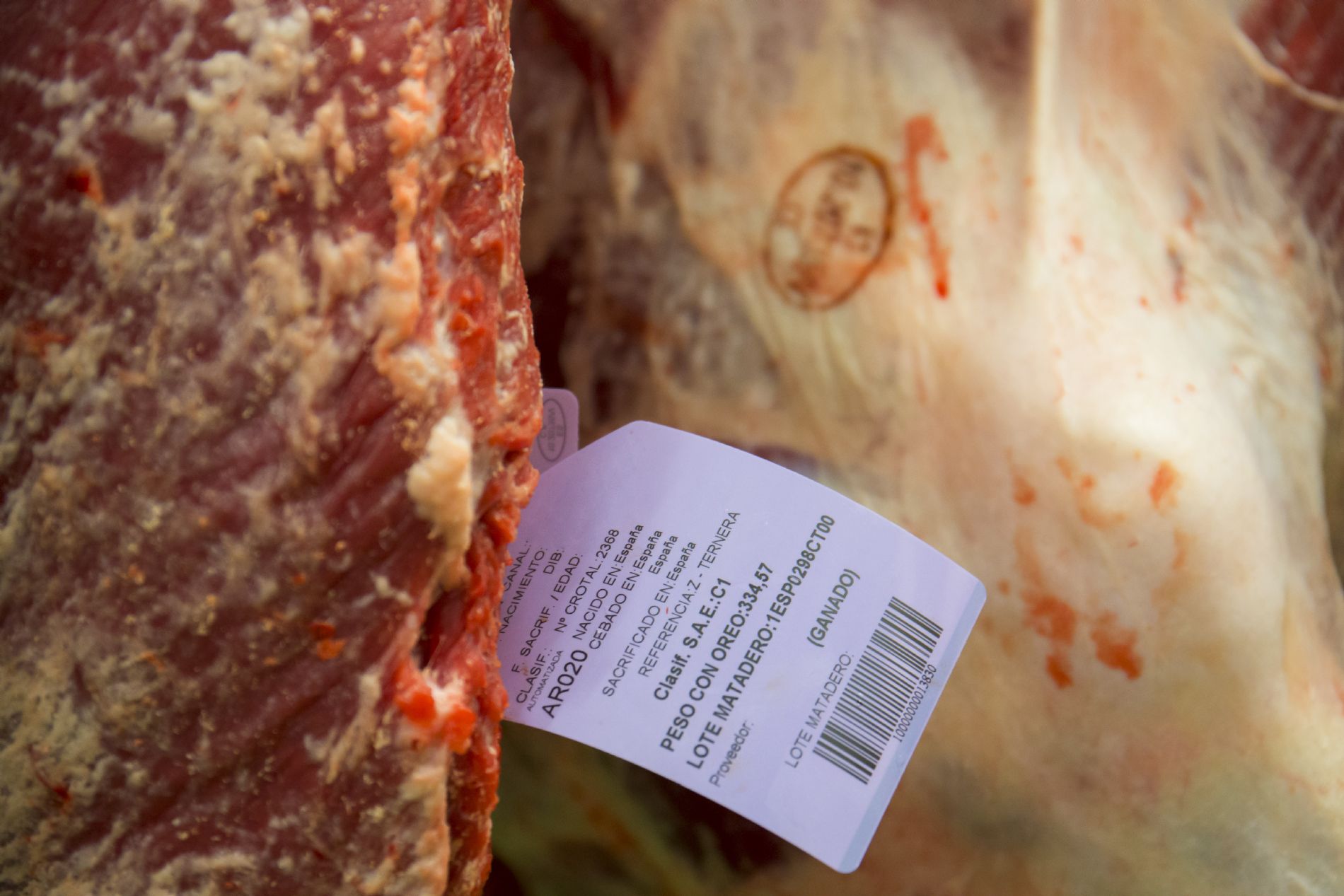 Carne