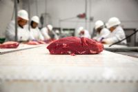 sacrificios de carne de vacuno
