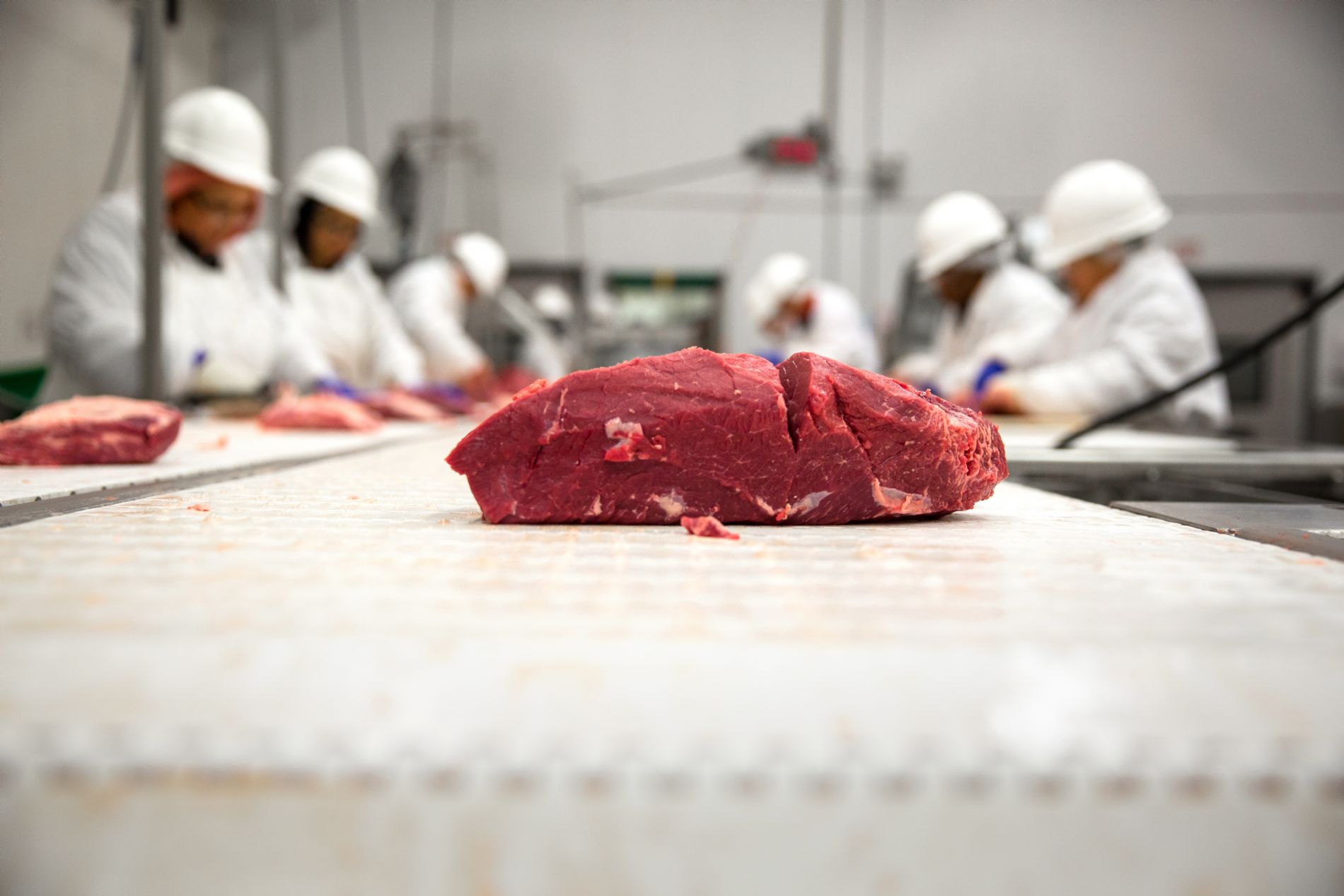 sacrificios carne de vacuno