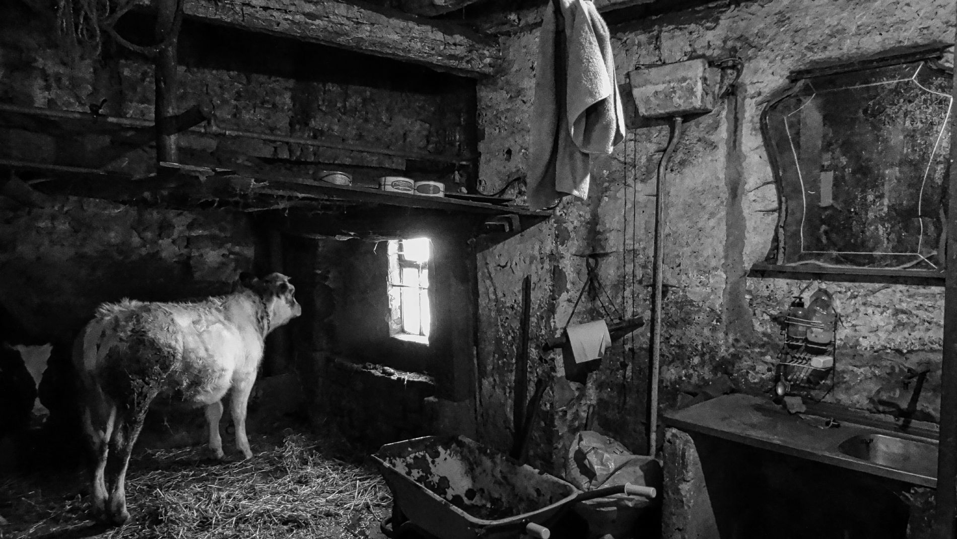 Segundo premio: Jose Soto, por su fotografa `Las vaqueras del pasado